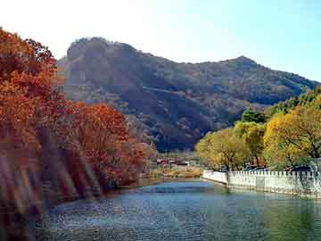 新澳天天开奖资料大全旅游团，童养媳小说